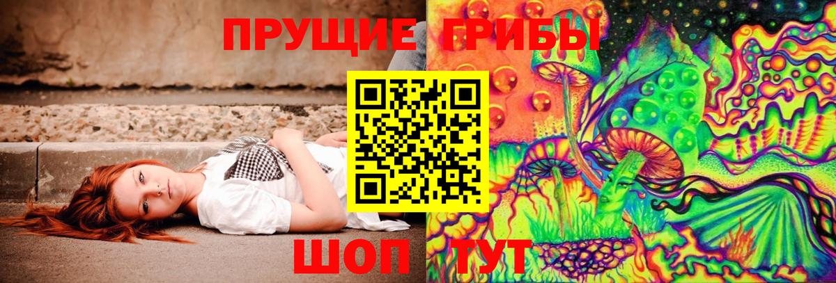 Отрадный  Псилоцибиновые грибы мухоморы  Вход с VPN 
