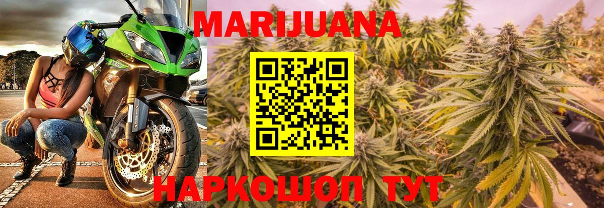 Бошки марихуана OG Kush Отрадный